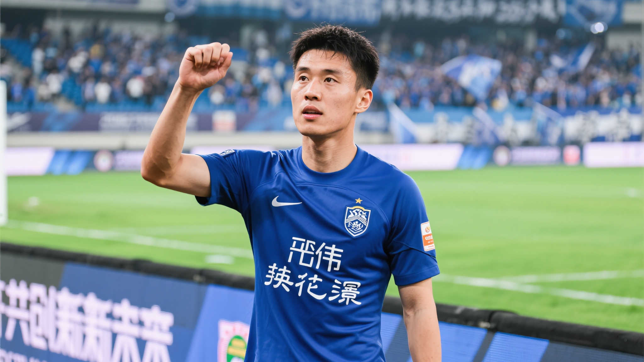 提供全新高 提供全新高