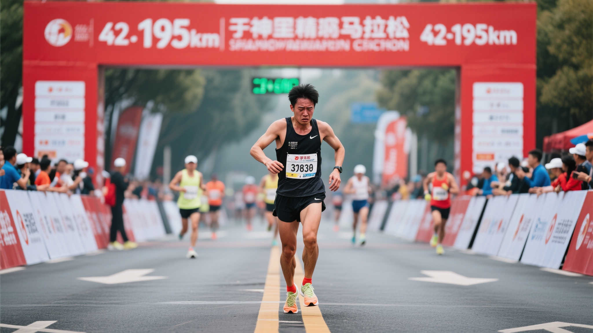 也获得了显 也获得了显